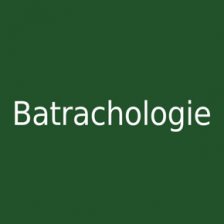 Batrachologie