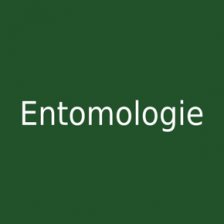 Entomologie