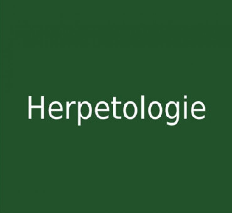 zobrazit detail snímku: Herpetologie