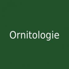 Ornitologie