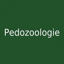 Pedozoologie