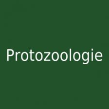 Protozoologie