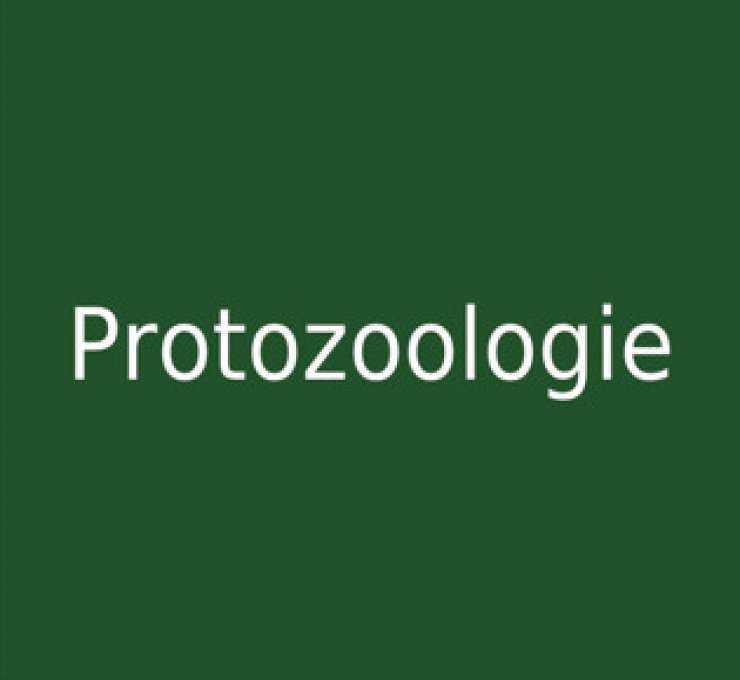 zobrazit detail snímku: Protozoologie