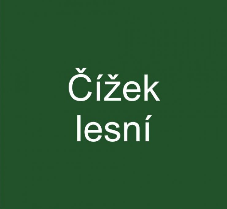 zobrazit detail snímku: Čížek lesní