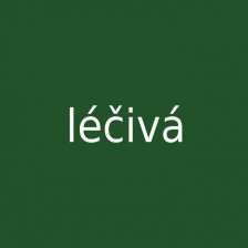 Léčivá houba