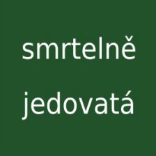 Smrtelně jedovatá houba