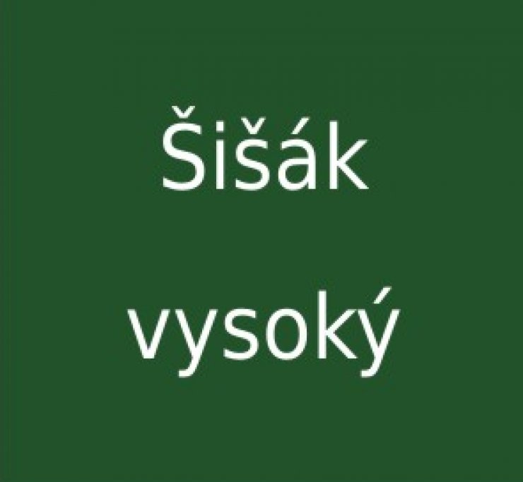 zobrazit detail snímku: Šišák vysoký