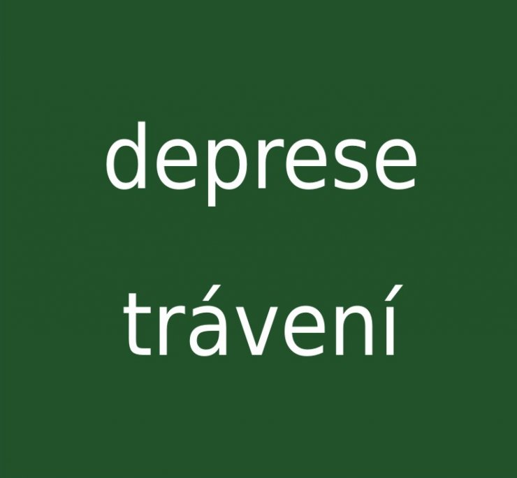 zobrazit detail snímku: Deprese, trávení