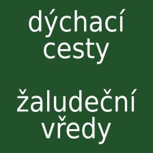Dýchací cesty, žaludeční vředy