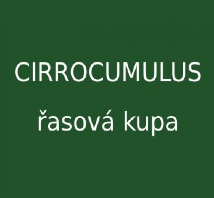 zobrazit detail snímku: Cirrocumulus