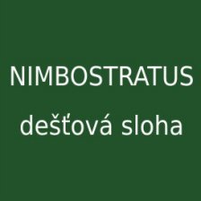 Nimbostratus