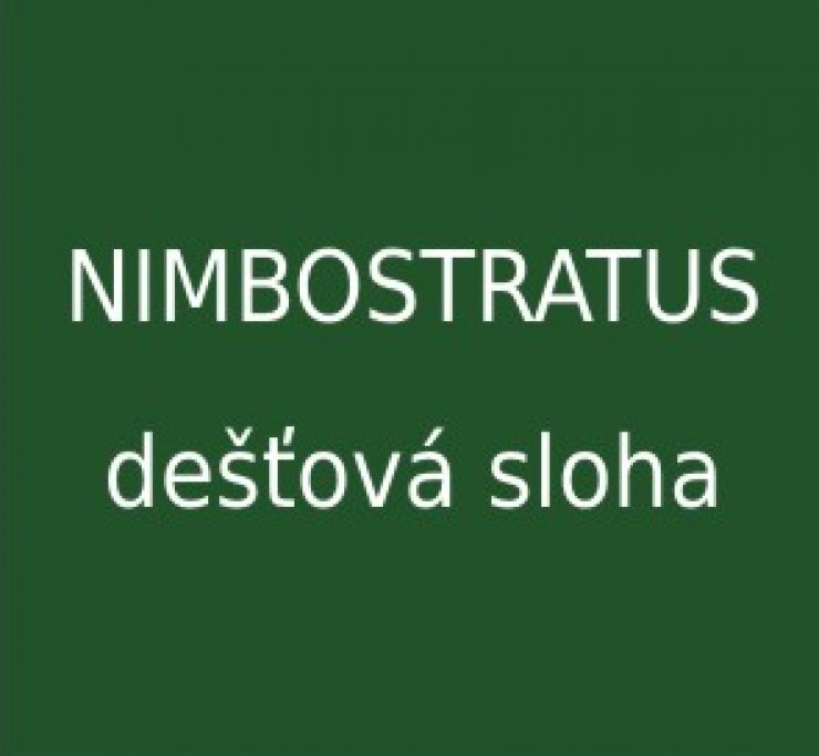 zobrazit detail snímku: Nimbostratus