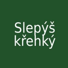 Slepýš křehký