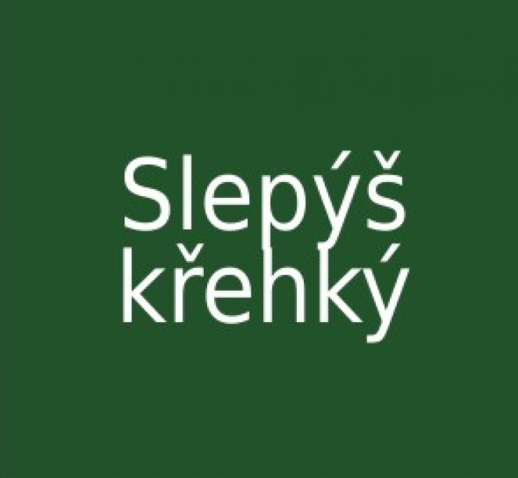 zobrazit detail snímku: Slepýš křehký