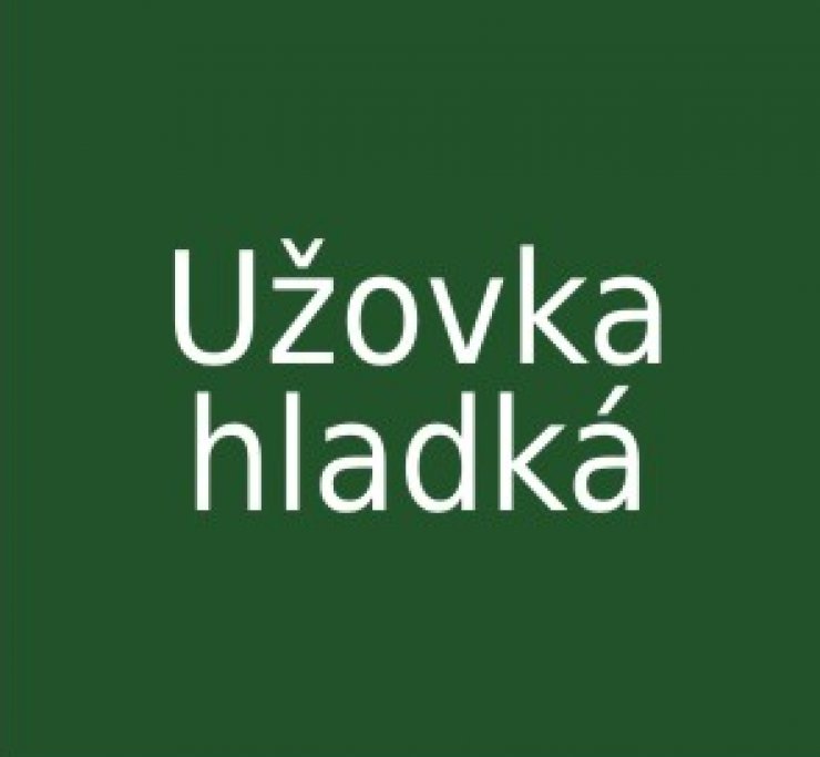 zobrazit detail snímku: Užovka hladká