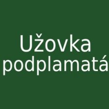 Užovka podplamatá