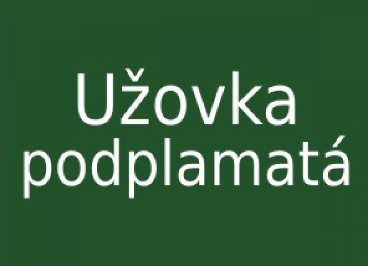 zobrazit detail snímku: Užovka podplamatá