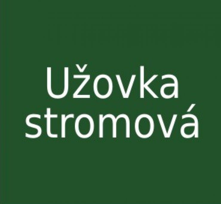 zobrazit detail snímku: Užovka stromová
