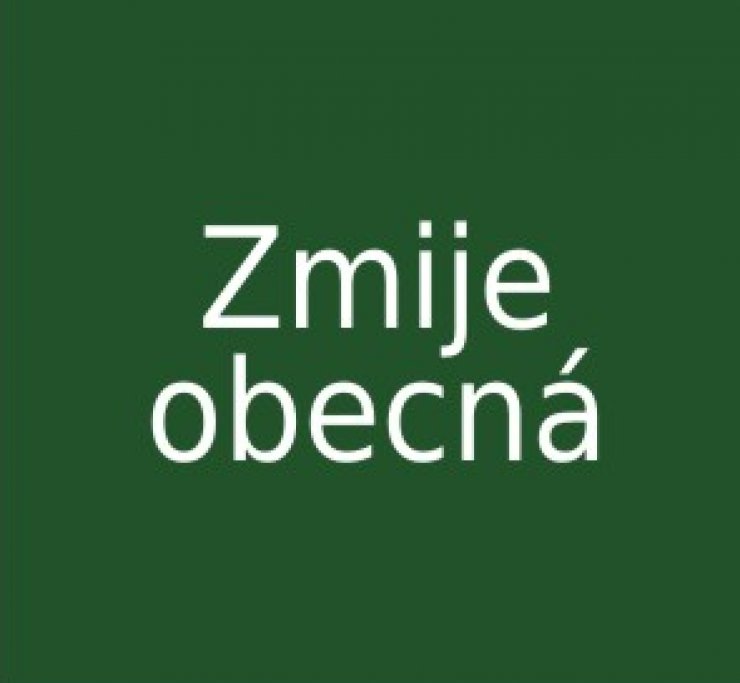 zobrazit detail snímku: Zmije obecná