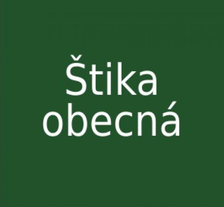 zobrazit detail snímku: Štika obecná