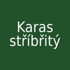 Karas stříbřitý