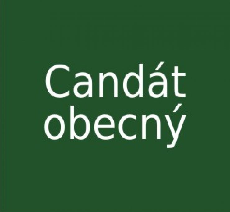 zobrazit detail snímku: Candát obecný