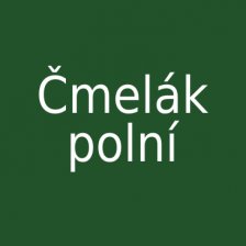 Čmelák polní