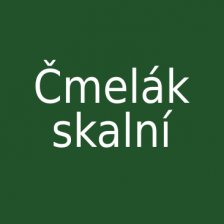 Čmelák skalní
