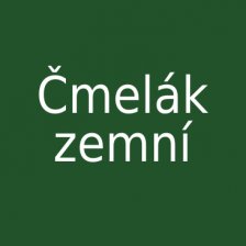 Čmelák zemní