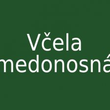 Včela medonosná