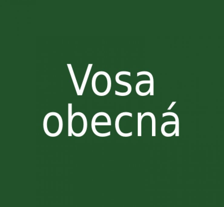 zobrazit detail snímku: Vosa obecná