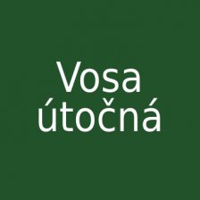 Vosa útočná
