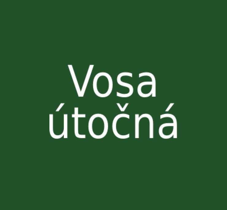 zobrazit detail snímku: Vosa útočná