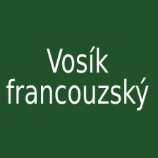 Vosík francouzský