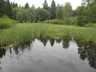 Česká Kanada aneb na výlet s trpaslíky : Někdy prostě nevíte, co s nimi. Ne, nejedná se…