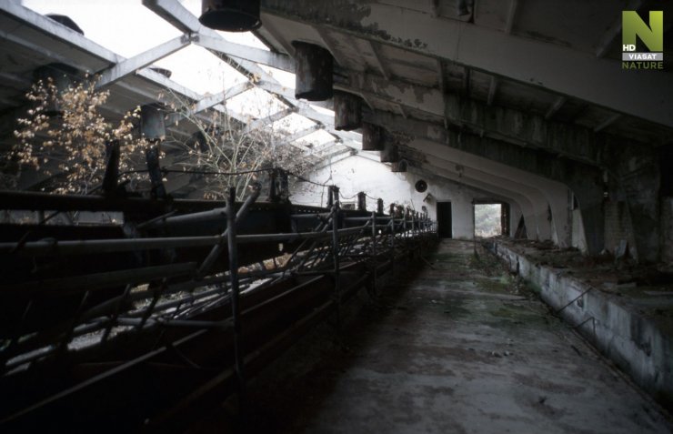 zobrazit detail snímku: Černobyl