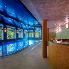 Lázně Karlovy Vary - Wellness hotel Green Paradise.