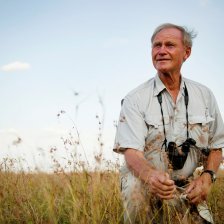 Pravidla Serengeti.
