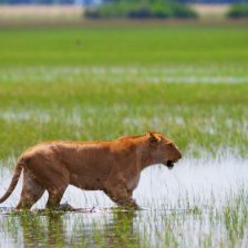 Velkolepá Afrika