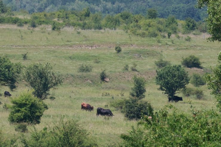 zobrazit detail snímku: Pratuři v Milovicích
