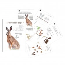 Pracovní listy Králík nebo zajíc