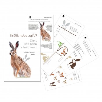 Pracovní listy Králík nebo zajíc - klikněte pro zobrazení detailu