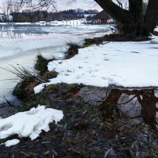 Předjarní příroda