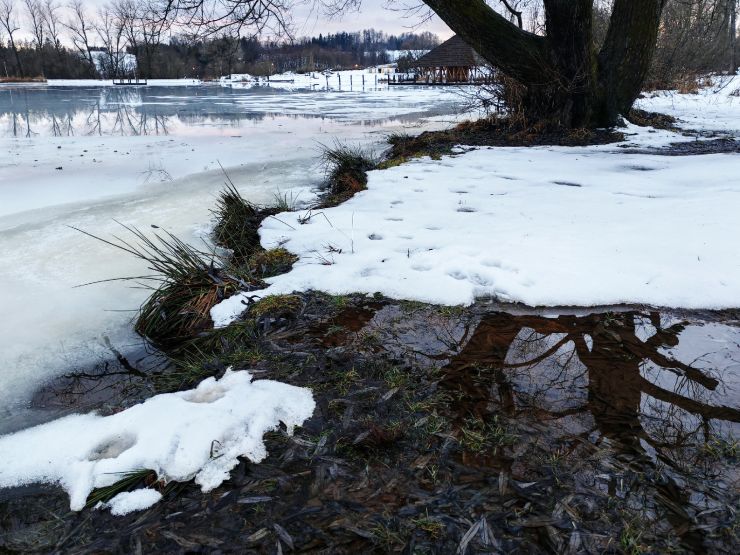 zobrazit detail snímku: Předjarní příroda