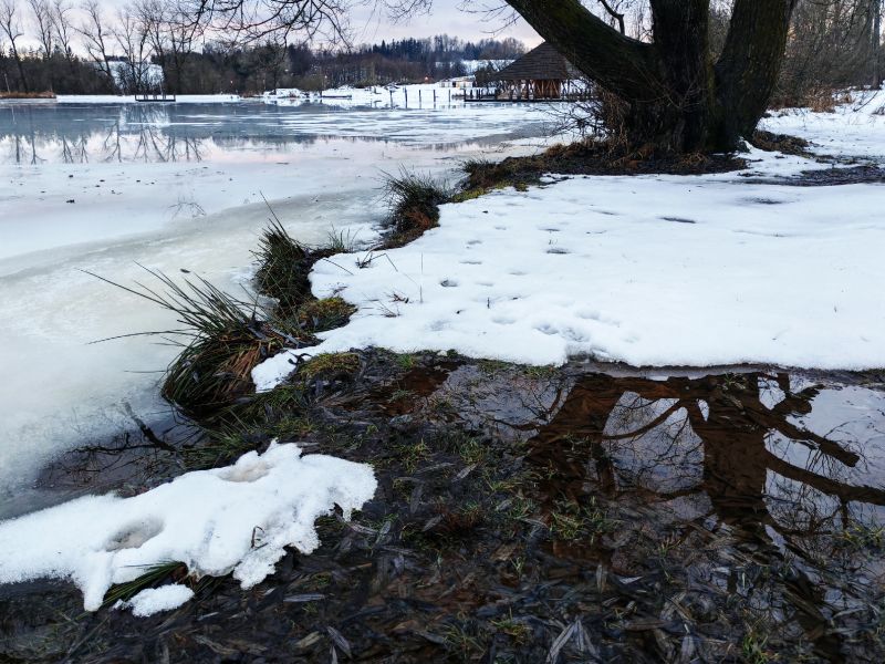 Předjarní příroda - klikněte pro zobrazení detailu Předjarní příroda - klikněte pro zobrazení detailu