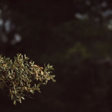 Moderní způsoby zastínění na zahradě