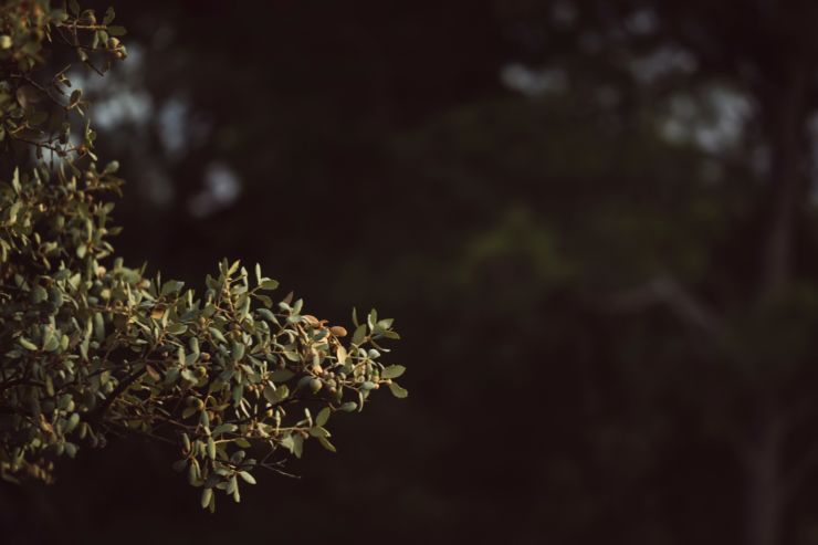 zobrazit detail snímku: 