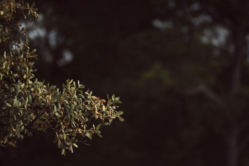  - klikněte pro zobrazení detailu