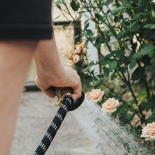 Dešťová voda je pro rostliny mnohem prospěšnější než chlorovaná voda z vodovodu