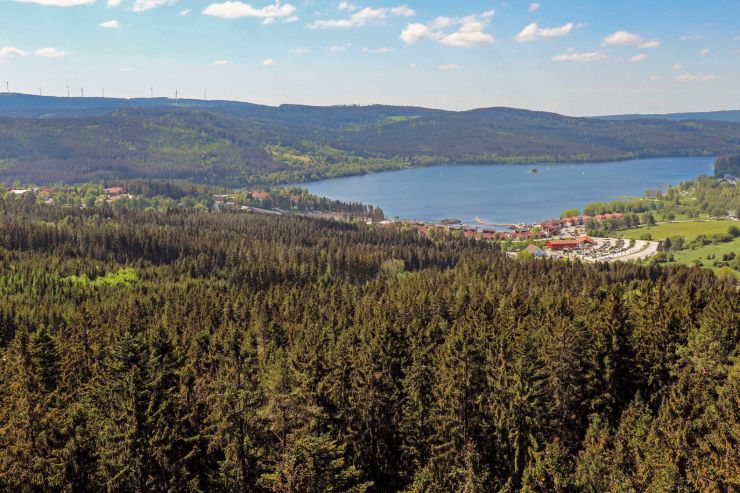 zobrazit detail snímku: Lipno